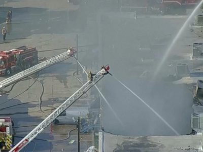 Cientos de animales mueren en incendio de centro comercial en Dallas
