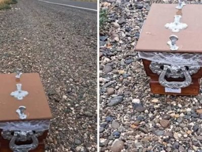 Macabro: hallaron una urna funeraria al costado de la Autovía Norte en Neuquén