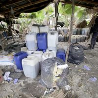 Narcos utilizan gente y animales en estado de vulnerabilidad para probar el fentanilo: NYT