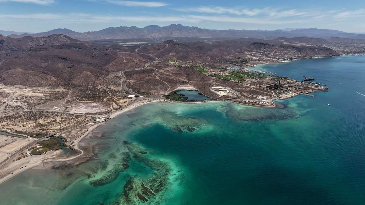 Baja California Sur. Riesgo de muerte para las ballenas