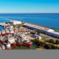 Puerto Coronel Rosales: obras e inversiones refuerzan su papel central en el crecimiento de Vaca Muerta