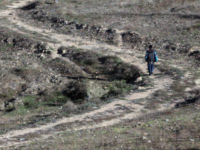 Desaparecen tres jornaleros de Guerrero, denuncia concejo indígena