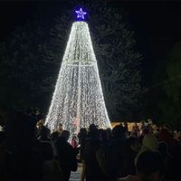 La Plaza de San Martín de los Andes se iluminó con el tradicional pino de navidad