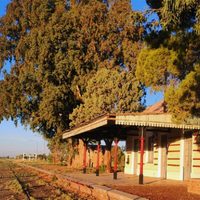 Un fin de semana distinto en Neuquén: paseo a caballo y sabores caseros a la orilla del río