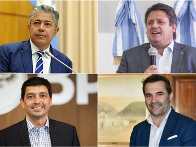 Según una encuesta, cuáles son los políticos neuquinos con mejor imagen positiva
