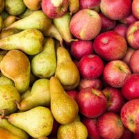 CAFI entregó el segundo camión de frutas para comedores de Buenos Aires