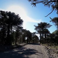 La provincia expuso el proyecto de asfalto de la ruta provincial 60 ante las comunidades mapuches
