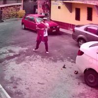 Un auto pasa dos veces por encima de un niño de tres años; este es el reporte médico (Video)