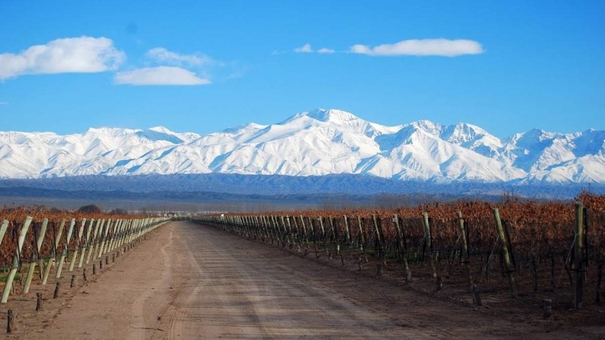 Vino en honor a la Madre Tierra. Fuente: (Instagram)