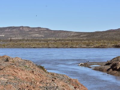 Intentó cruzar el río y desapareció: la búsqueda continúa en Neuquén