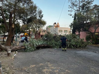Azotarán vientos fuertes a la CDMX: alerta naranja en nueve alcaldías y amarilla en siete