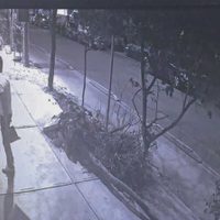 Golpes, amenazas, acoso... violencia de género en el COM
