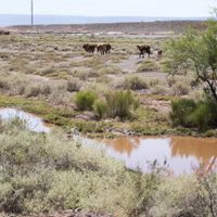 Aseguran que Neuquén también sufre las consecuencias del cambio climático