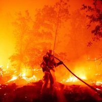 Irlanda del norte lucha para contener un voraz incendio forestal
