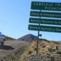 Neuquén apura la apertura del Paso Pichachén para que más chilenos puedan llegar a la Fiesta Nacional del Chivito