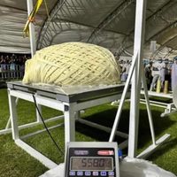 Pijijiapan impone nuevo Récord Guinness por el quesillo de hebra más grande del mundo