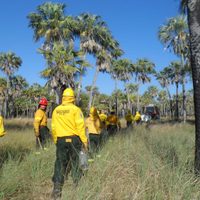 Habilitaron la preinscripción para el Curso Básico para Combatientes de Incendios Forestales