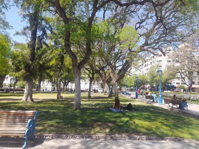 Martes bajo el sol: ascenso de temperatura y tiempo estable en Mendoza