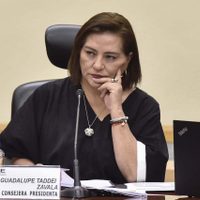 El INE y el gobierno federal establecen protocolos de seguridad para candidatos