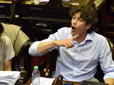Senado: Lousteau y Caserio discutieron a los gritos en una sesión virtual
