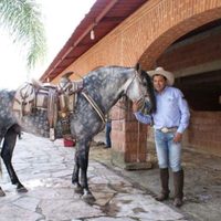 Empresario exige a Astudillo cancelar pactos con el narco