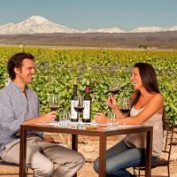 Llegó a Mendoza 40% menos de turistas que en 2024