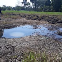 Reportan fuga de combustible provocada por ordeña en Huimanguillo, Tabasco