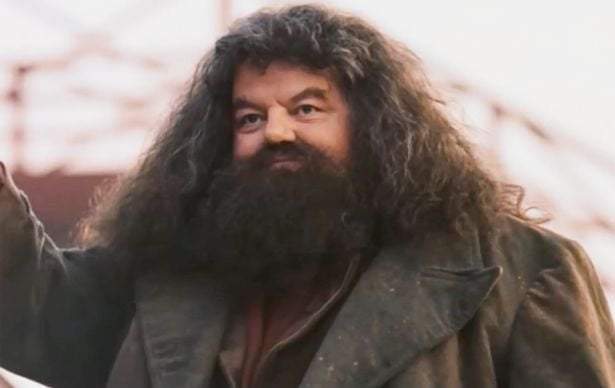 Robbie Coltrane, quien interpretó Hagrid en  "Harry Potter"