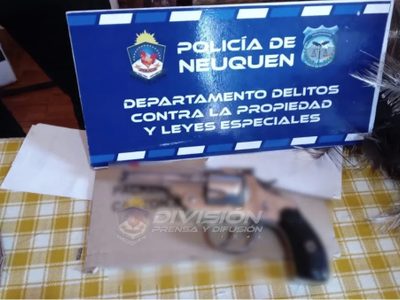 En tres allanamientos encontraron las armas de cazadores furtivos