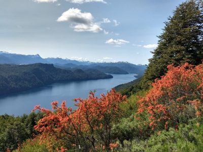 Encontraron un cuerpo en el cerro Belvedere de Villa La Angostura e investigan si se trata del joven desaparecido