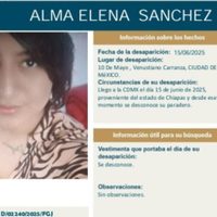 Madre de Alma, joven hallada enmurallada en construcción de CDMX, se despide con un mensaje