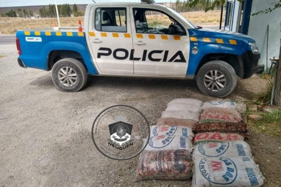 Decomisron 14 bolsas de piñones Fuente: (Policía de Neuquén)