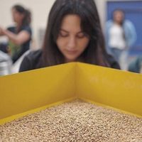 Mujeres cerveceras de Latinoamérica unidas en un congreso mundial virtual