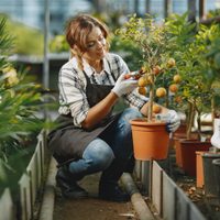 Protegé tu jardín en otoño con una planta que seguro tenés en casa: efectiva contra las plagas