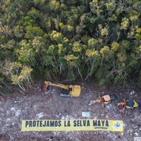 Ambientalistas frenan simbólicamente trabajos del tramo 5 del Tren Maya