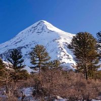Volcán sagrado: mapuches se manifestarán en la Intendencia del Parque Nacional Lanín