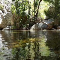 Sin salir de la provincia de Buenos Aires: visitá este lugar mágico, ideal para una escapada de finde