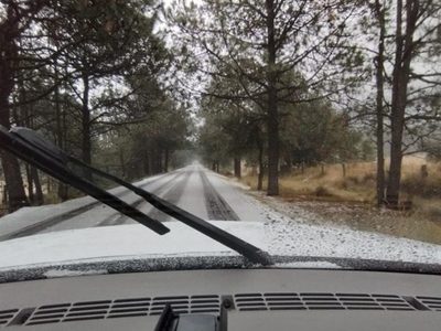 CDMX: Ya comenzó la caída de aguanieve en el Ajusco