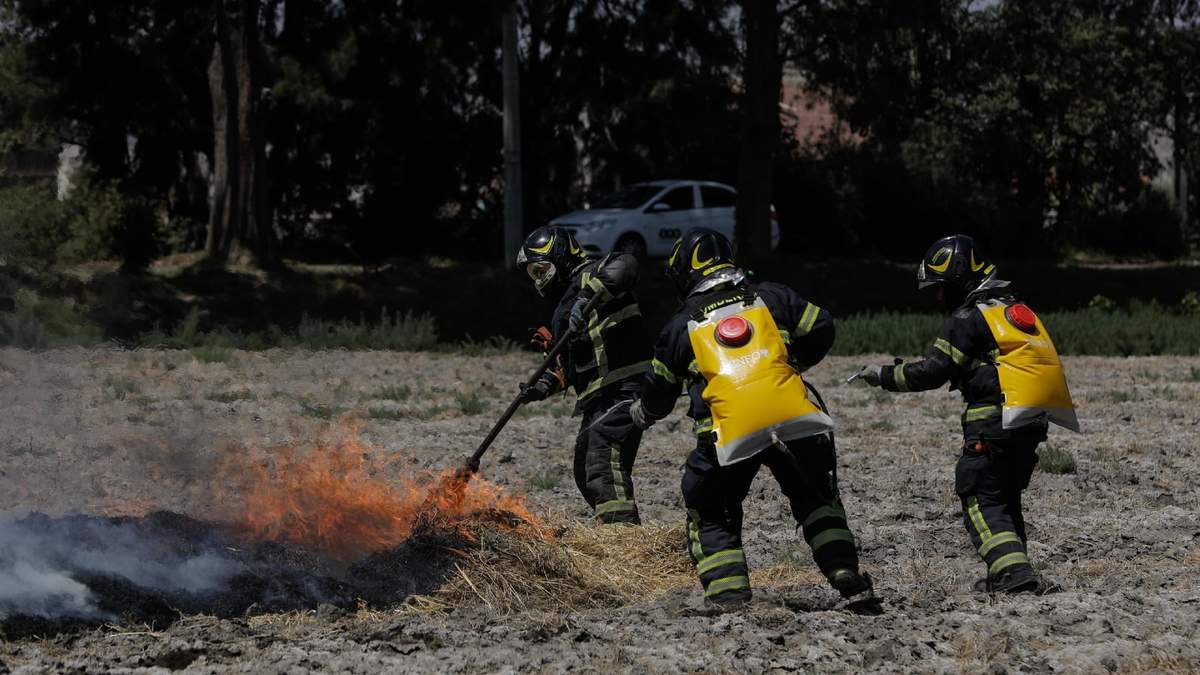 Simulacro de incendio forestal con el cuerpo de bomberos este lunes en la CDMX