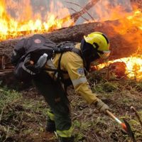 El Parque Nacional Lanín dictará un curso básico sobre combate de incendios forestales