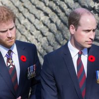 Nuevo enfrentamiento entre los príncipes Harry y William por un tema que incomoda a la familia real