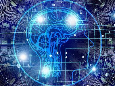Los humanos se conectarán pronto a internet directamente con el cerebro, según científicos españoles