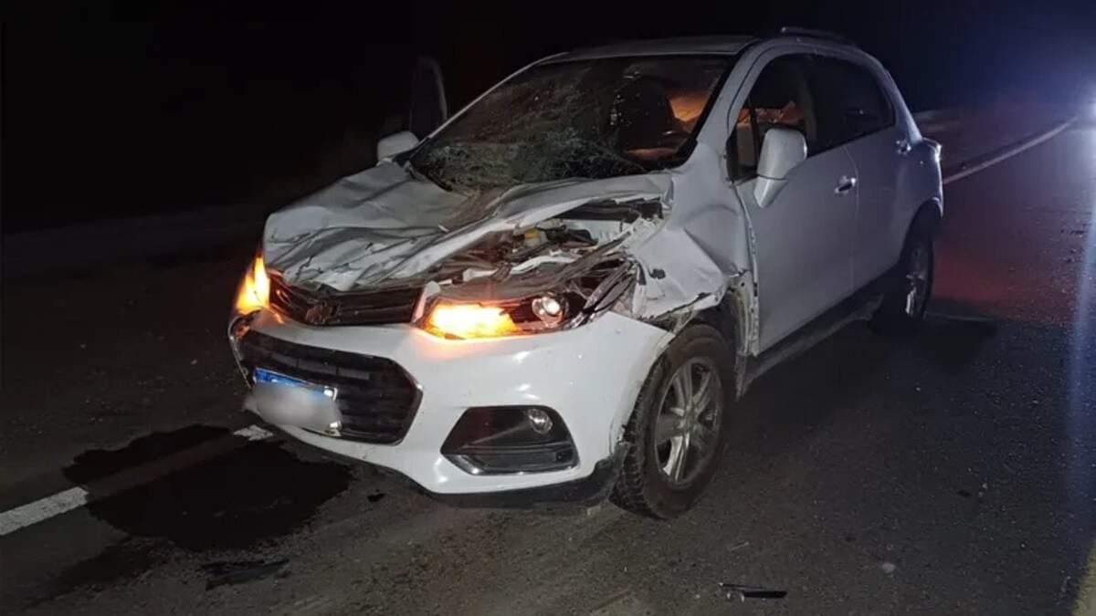 Accidente en la Ruta 40. Fuente: (Policía de Neuquén)