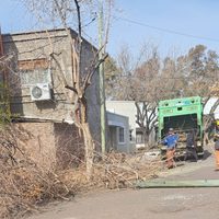 Reportan caos en un barrio de Luján por la poda de árboles