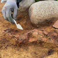 Cementerio infantil de más de 2 mil 200 años hallado en Noruega