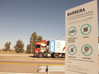 Neuquén seguirá sin poder recibir carne con hueso desde La Pampa