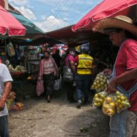 Alertan que podría llegar a mil millones las personas con hambre por la pandemia