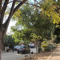 Encuentran dos mujeres asesinadas; van 33 feminicidios en Oaxaca
