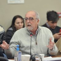 Carnaghi desmintió a Rioseco: “No hay arreglos individuales, el que debe definir es el Congreso"