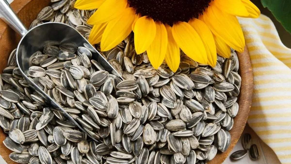 Semillas de girasol. Fuente: (Instagram)